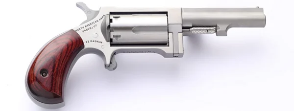North-American-Arms .22 WMR Steel – 5rd
