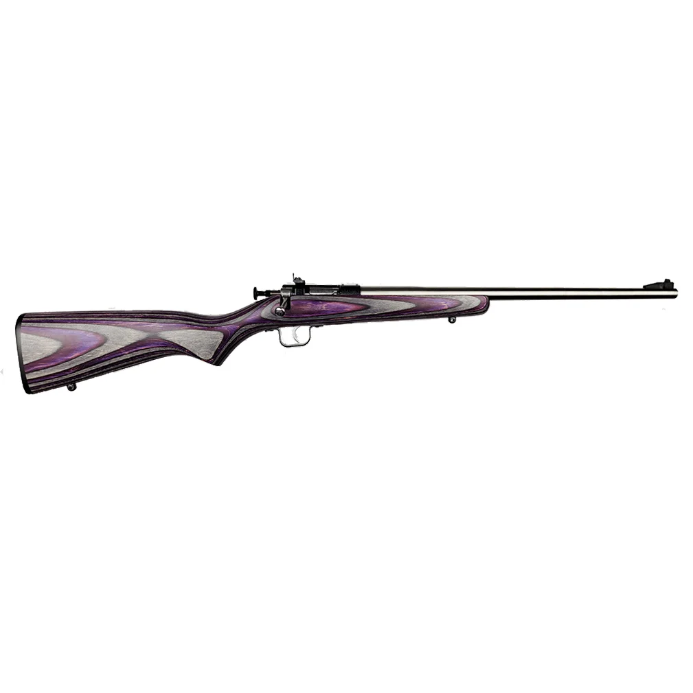 Davey Crickett Crickett KSA2228 youth .22 LR single-shot rifle with purple laminate stock