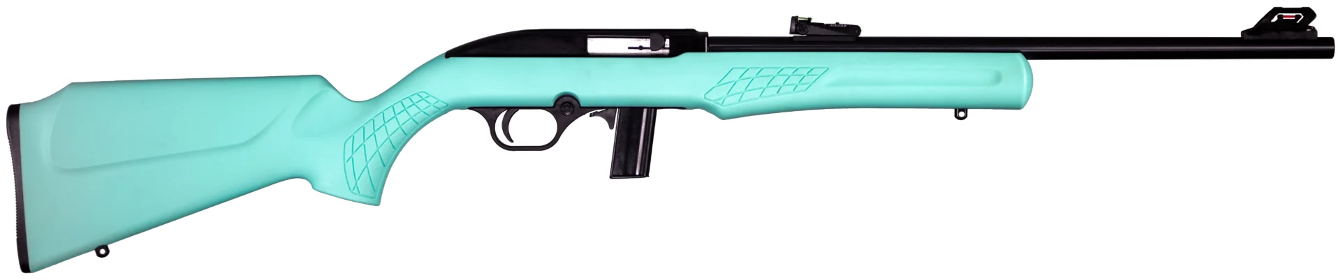 Rossi RS22 .22 LR semi-auto rifle with 18 inch barrel and teal synthetic stock